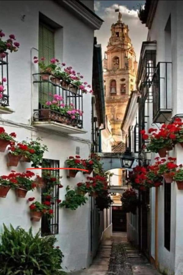 Apartamento La Magdalena Córdova Exterior foto